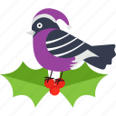 bird, canary, christmas, robin, santa hat