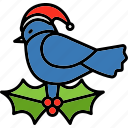 bird, canary, christmas, robin, santa hat