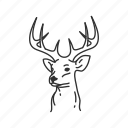 deer, head, horns, red nosed reindeer, reindeer, rudolph, buck