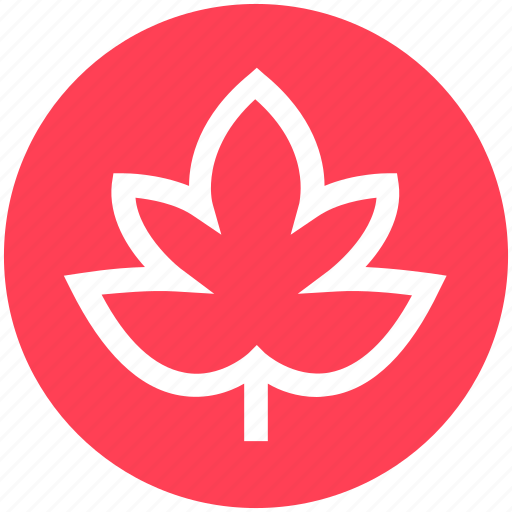Christmas, decoration, easter, leaf, maple, nature, xmas icon - Download on Iconfinder