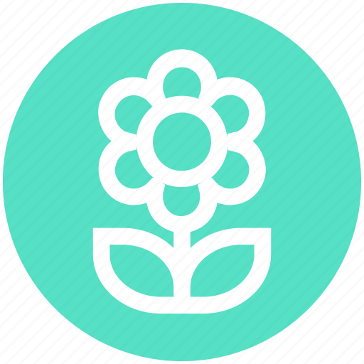 Christmas, flower, leaves, nature, plant, pot icon - Download on Iconfinder