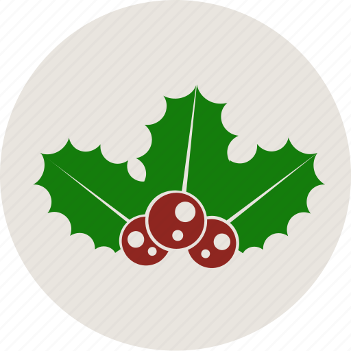 Christmas, decoration, holiday, mistletoe, new year, plant, xmas icon - Download on Iconfinder