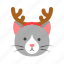 animal, cat, christmas, horn, pet, xmas 