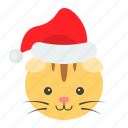 animal, cat, christmas, pet, santa, xmas