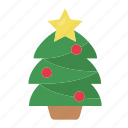 christmas, christmas tree, tree, winter