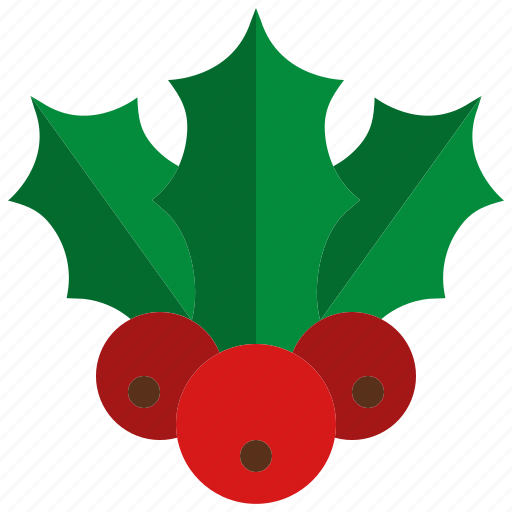 Mistletoe, berry, leaf, christmas, nature, plant, holly icon - Download on Iconfinder