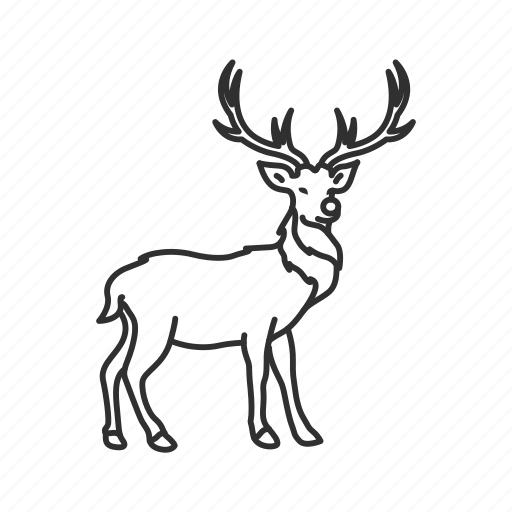 Christmas, deer, holiday, red nosed reindeer, reindeer, rudolph, sleigh icon - Download on Iconfinder