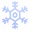 season, cold, snowflake, christmas, winter, flake, snow
