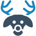 animals, reindeer, deer, christmas, nature