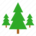 christmas, nature, pine, tree