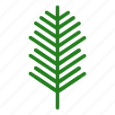 christmas, decoration, leaf, nature, pine
