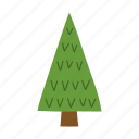 christmas, tree, evergreen, pine, festive, decorations