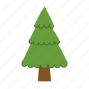 christmas, tree, festive, evergreen, pine, fir