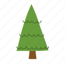 christmas, tree, fir, festive, evergreen, pine