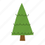 christmas, tree, fir, festive, evergreen, pine 
