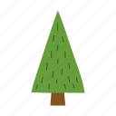 christmas, tree, fir, ornaments, evergreen, pine