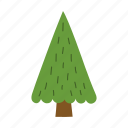 christmas, tree, ornaments, evergreen, pine, fir