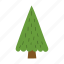 christmas, tree, ornaments, evergreen, pine, fir 