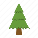 christmas, tree, pine, festive, decorations, evergreen
