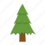christmas, tree, pine, festive, decorations, evergreen 