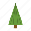 christmas, tree, pine, fir, festive, evergreen 
