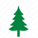 christmas, fir, nature, tree
