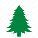 christmas, fir, nature, tree
