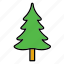 christmas, fir, flora, forest, nature, tree, xmas 