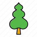 christmas, fir, flora, forest, nature, tree, xmas