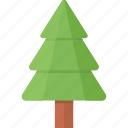 christmas tree, christmas, fir, new year, tree, xmas