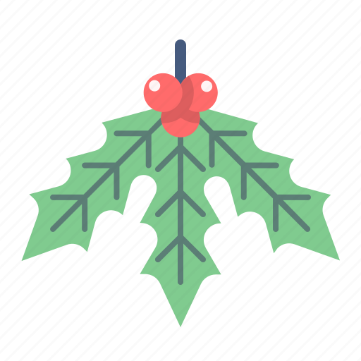 Christmas, decoration, holiday, mistletoe, plant, xmas icon - Download on Iconfinder