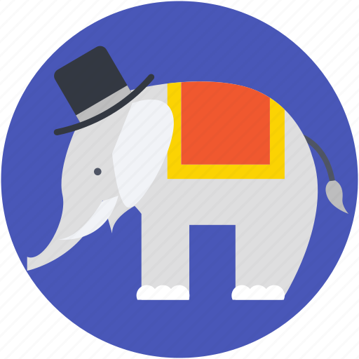 Animal, animal show, circus animal, circus elephant, performance icon - Download on Iconfinder