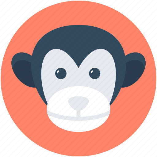 Animal, baboon, macaque, monkey, monkey face icon - Download on Iconfinder
