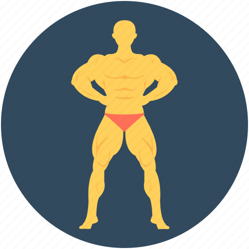 Bodybuilder, fitness, gym, gymnast, weightlifter icon - Download on Iconfinder