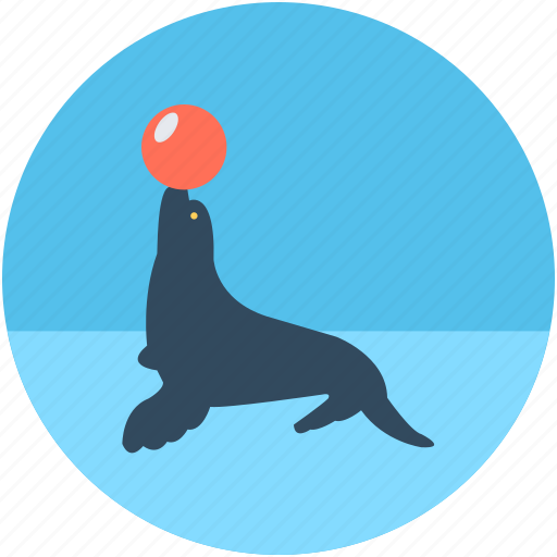 Animal, circus seal, circus show, circus trick, sea lion icon - Download on Iconfinder