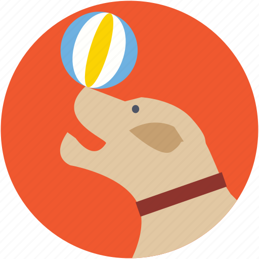 Animal, ball, circus dog, fairground, fun icon - Download on Iconfinder