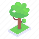 green, tree