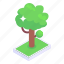 green, tree 