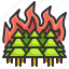 burning, conflagration, disaster, fire, forest, tree 