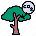 carbon dioxide, tree, nature, forest, photosynthesis