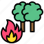 burn, climate, fire, forest fire, tree, wildfire 