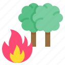 burn, climate, fire, forest fire, tree, wildfire