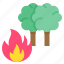 burn, climate, fire, forest fire, tree, wildfire 