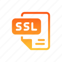 ssl, certificate, file, format, security