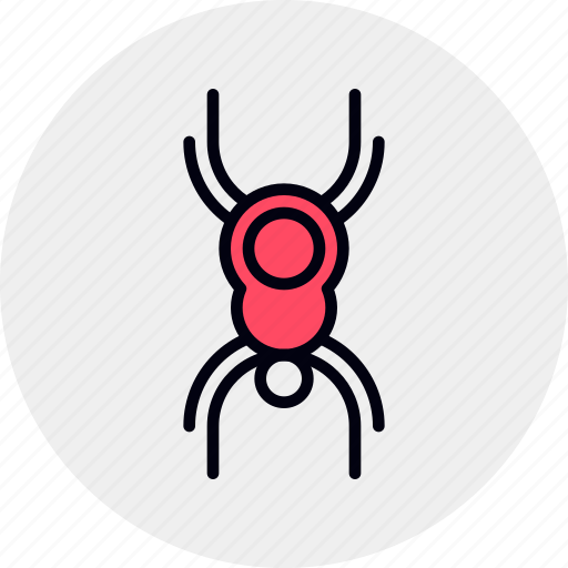 Bug, insect, spider, virus icon - Download on Iconfinder