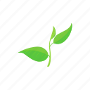 branch, cartoon, flora, growth, leaf, plant, tea