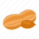 peanut, food, nuts, dry fruit