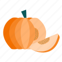 pumpkin, pumpkin spice, spring, halloween, plant, fruit