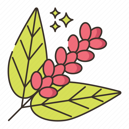 Coffee, coffee bush, coffee plant, coffee tree, flower, nature, tree icon - Download on Iconfinder