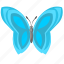 blue, butterfly, colored, wings 